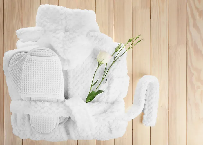 ホテル ユーロスターズ オポルト